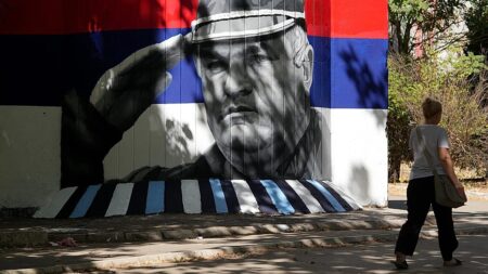 EU warns Serbia Mladić funeral is ‘important test’ for membership bid