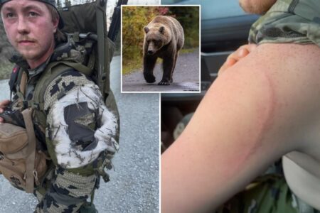 Alaska moose hunter remarkably survives bear attack: ‘Glad I blacked out’