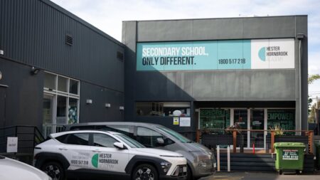 Principal warned of audit risk years before Hester Hornbrook Academy accused of over-claiming $23 million