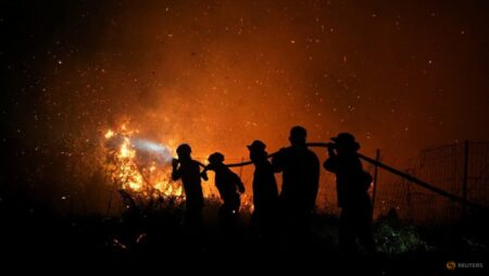 Indonesian wildfire emissions surge to world’s highest, data shows