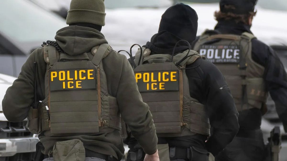 White House brings receipts after media claims noncriminal ICE arrests ‘soaring’: ‘False narratives’