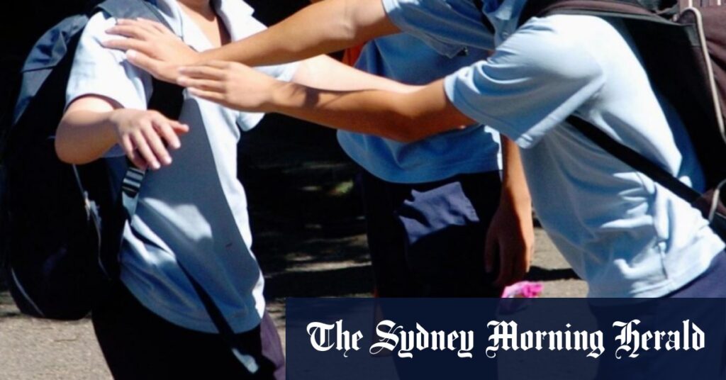 School bullying in NSW: Parents are best defence