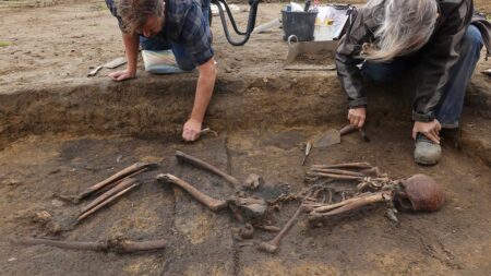 Dozens of ‘exceptionally well-preserved’ Viking skeletons unearthed in Denmark: ‘Truly unusual’