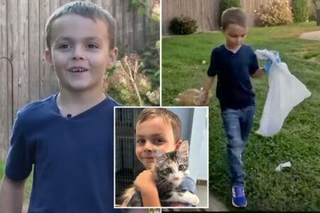 Rhode Island boy, 6, starts own poop-scooping business to pay for cat adoption