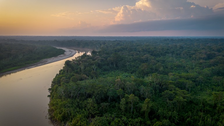 The lowland forests of Purus are thought to be home to the largest concentration of isolated tribes on Earth [Neil Giardino/Al Jazeera]