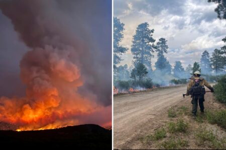 Colorado wildfire in August sparked by man’s attempt to cremate his dog, authorities say