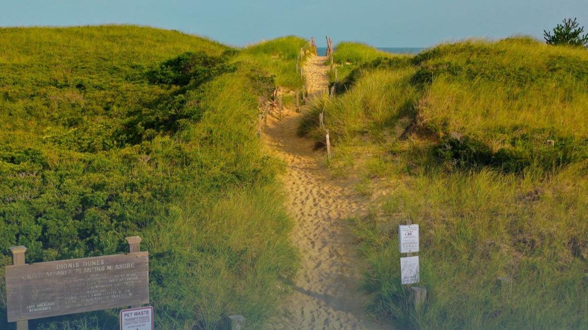 In the summer, Nantucket is home to tens of thousands of visitors who own or rent vacation homes.