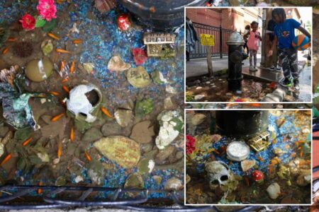 Brooklyn’s  viral fire-hydrant goldfish pond is as popular as ever — but will it survive the winter?