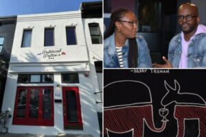 Politically-themed bar removes GOP elephant symbol from logo following ‘mean-spirited’ backlash