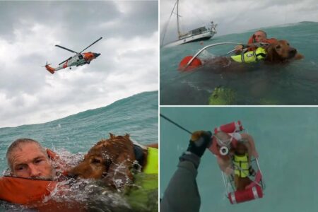 Florida sailor living on dream boat with his dog recalls terrifying moment they became stranded in Gulf of Mexico during Hurricane Helene