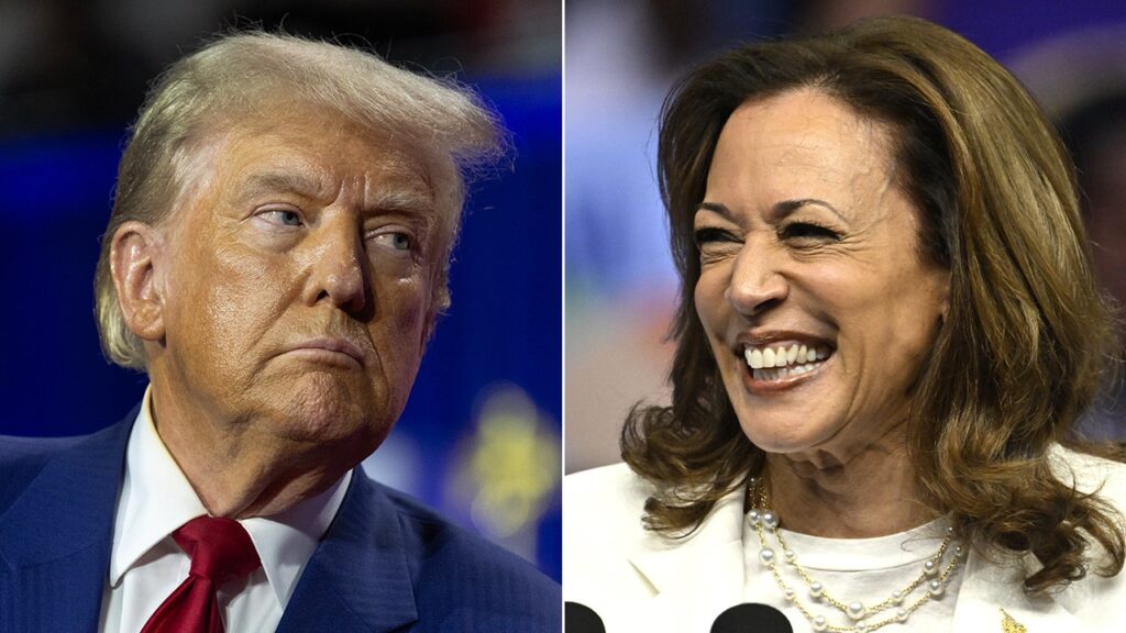 Georgia’s Muslim voters opposing Harris, Trump in election over both candidates’ support for Israel