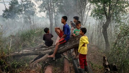 Nearly 60% drop in fire hotspots this year compared to 2023: Indonesian official