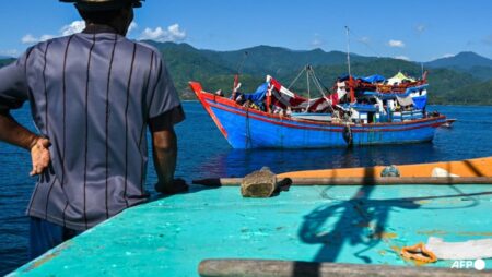 UN appeals to Indonesia for Rohingya boat rescue