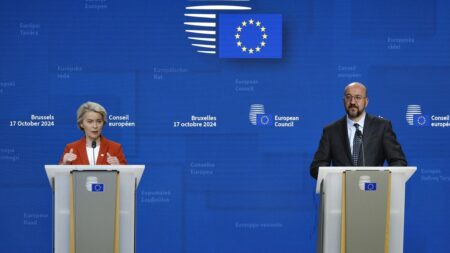 EU leaders endorse migration outsourcing but offer few details