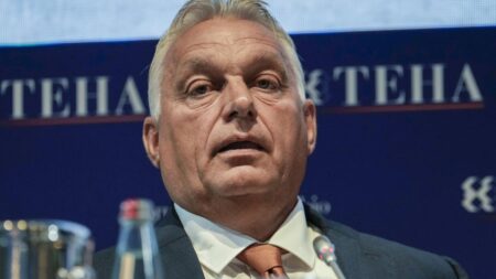 Orbán calls for ceasefire between Russia and Ukraine