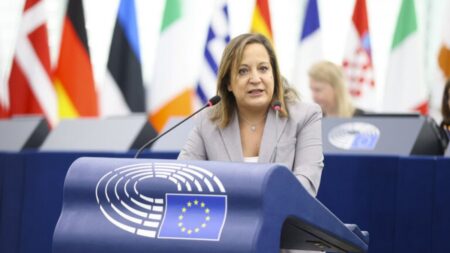 Socialists, Greens and Liberals challenge Commission on migration