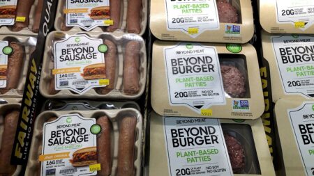 EU top court rules in favour of veggie burgers in labelling dispute