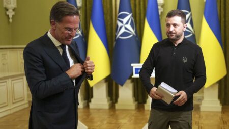 New NATO chief promises continued support for Ukraine