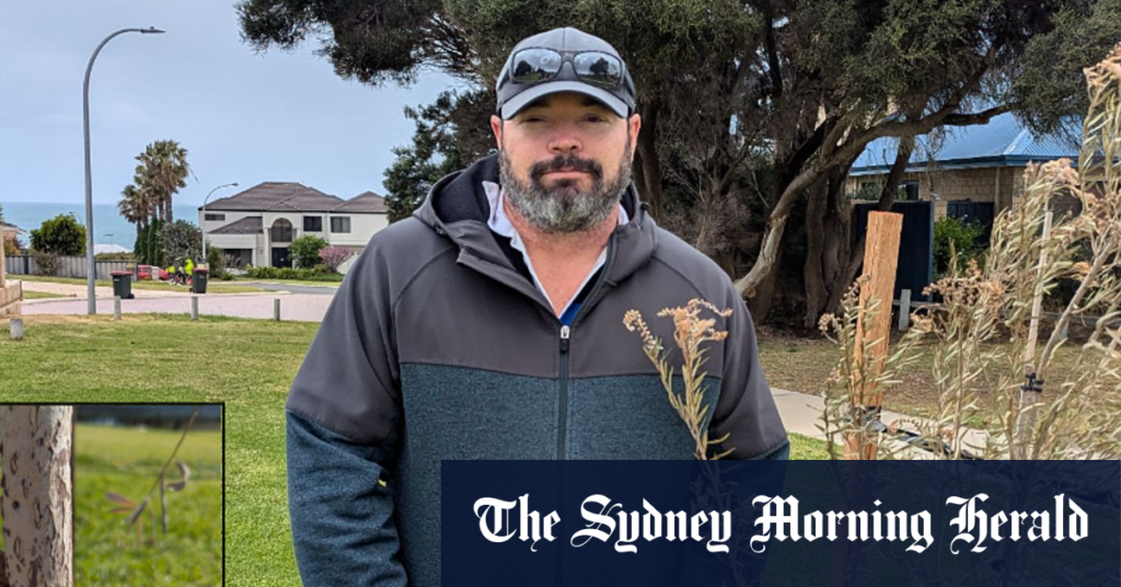 Council of Joondalup trees get cut down repeatedly