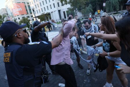 Anti-Israel protester lights himself on fire outside of White House