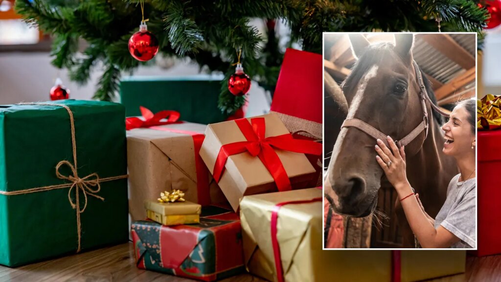 Holiday gift guide for the horseback-riding equestrian lover in your life