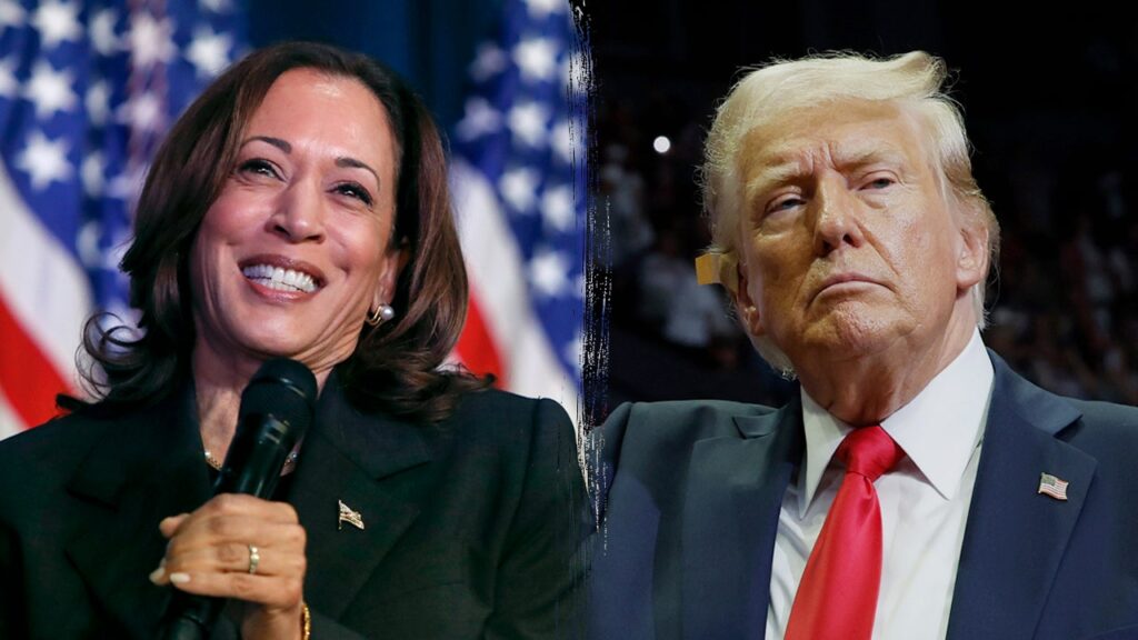 Harris holds small national lead as Trump increases his edge on the economy: poll