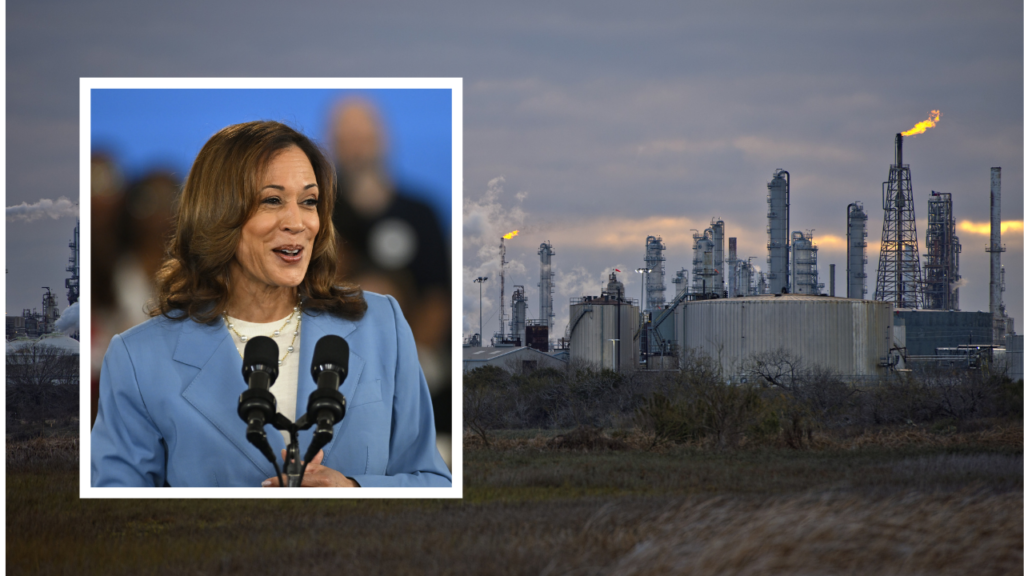 Harris touts oil production during 2024 run after saying companies need to ‘pay the price’ for climate change