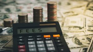 Do Your Investment Fees Increase Your Returns?