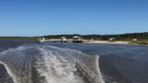 At least 7 people killed after Georgia ferry dock gangway collapse: officials