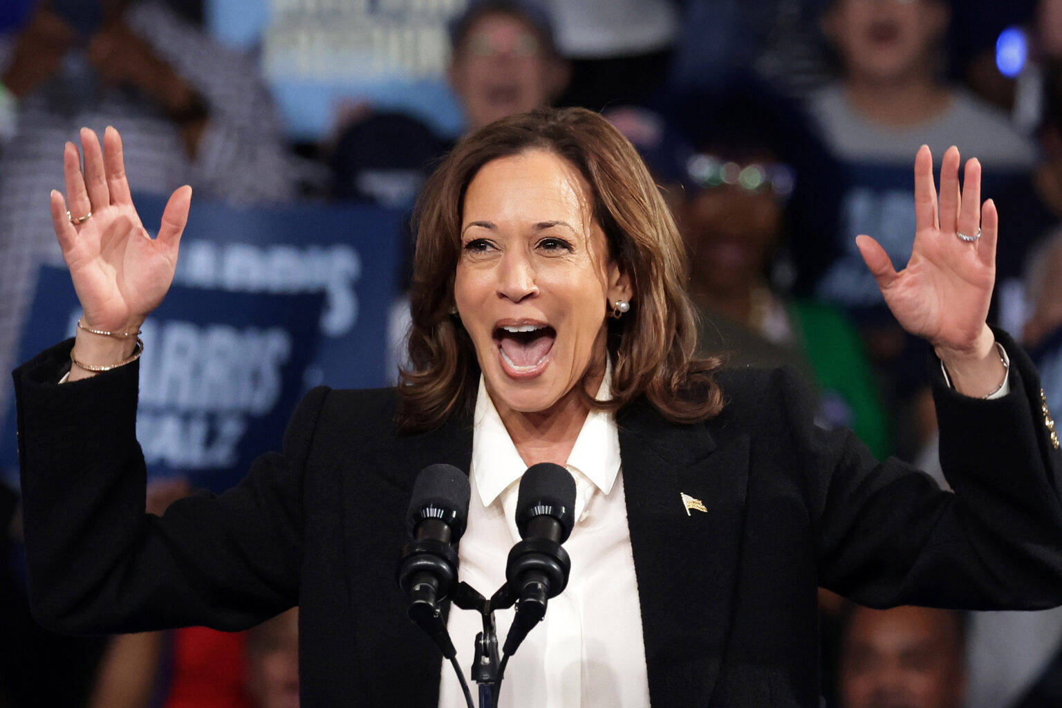 Kamala Harris’ Path to Pennsylvania Win Could Lie in the Deep Suburbs