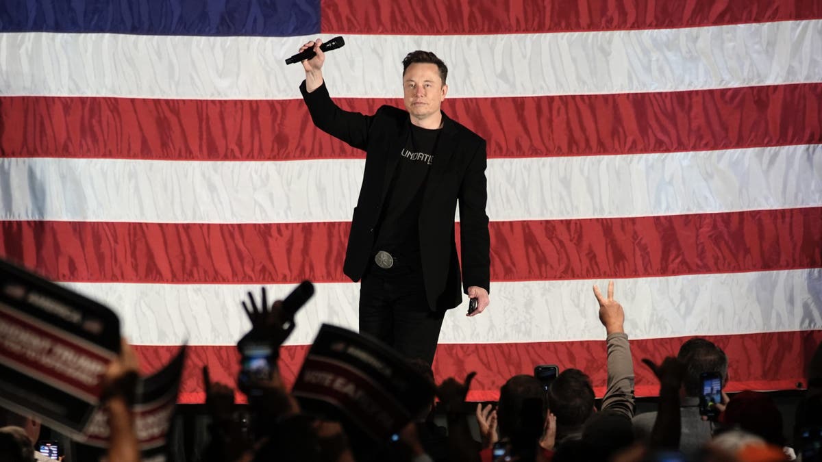 Elon Musk arm raised holding mic at rally