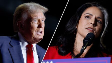 Tulsi Gabbard, former Democratic candidate for president, joins Republican party at Trump rally