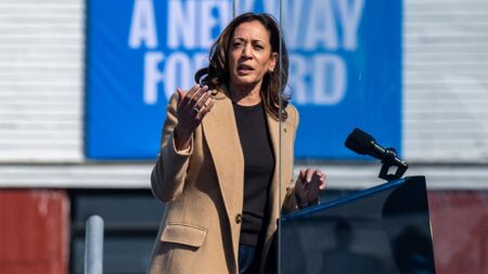 Harris pledges to sign bill ‘to restore reproductive freedom’ as president in Wisconsin speech