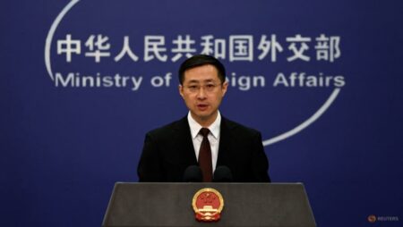 China says reached ‘resolution’ with India on contested border issues