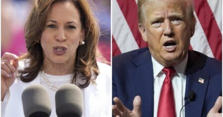 U.S. election: How would Harris, Trump immigration plans impact Canada?