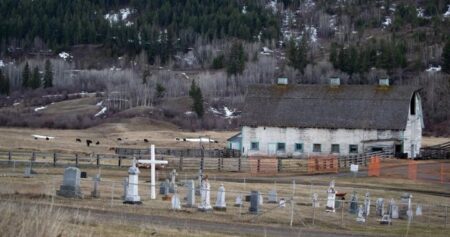 At least 55 children died or disappeared at residential school near Williams Lake, B.C.: Report