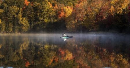 Duller fall colours in Ontario after warmer than normal temperatures