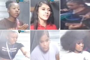 6 young women bludgeoned pair with hammer, robbed one inside NYC tattoo studio: cops