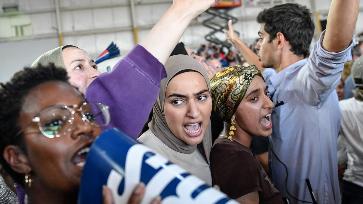 Protesters in Michigan