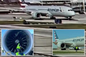 Wild video shows American Airlines plane sucking up cargo container on tarmac