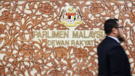 Malaysia MPs support proposed Malay language test for citizenship applicants but call for standardised requirement