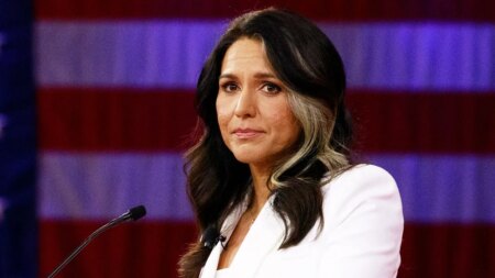 Trans athletes in women’s sports will get ‘radically worse’ under a Harris presidency, warns Tulsi Gabbard