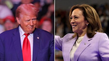 Pennsylvania survey finds Harris leading Trump narrowly, identifies her ‘biggest weakness,’ pollster says