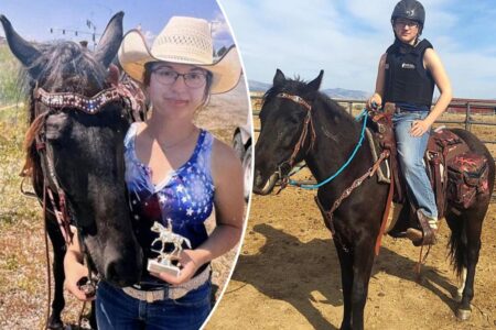 Search launched for missing horseback rider — but only her horse and phone have been found