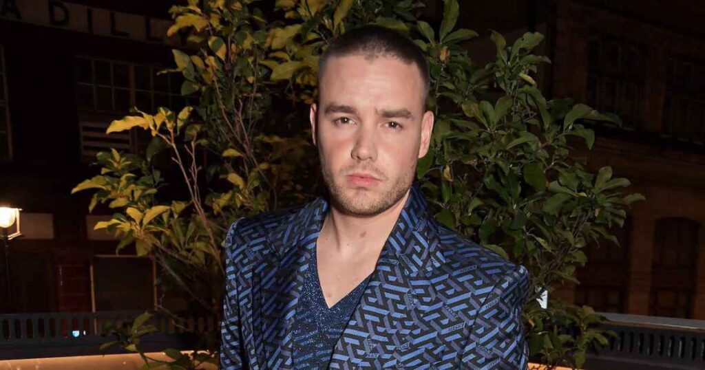 What Liam Payne Said About His Struggles With Drugs and Alcohol