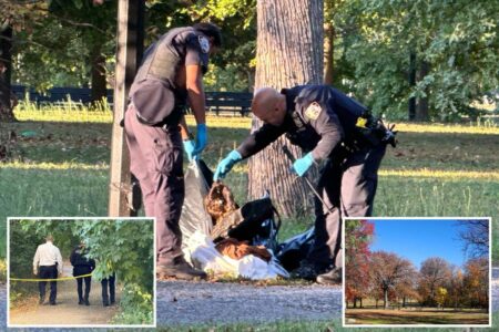 Migrant man found hanged in NYC park was suspected of repeatedly raping underage relative: sources