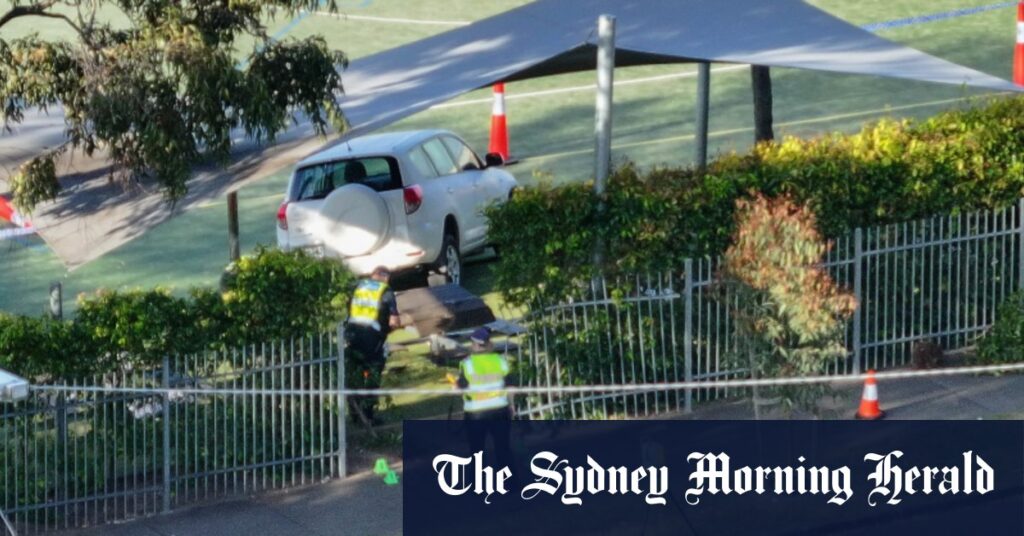 Boy dies, Auburn South Primary School students injured after 4WD collision