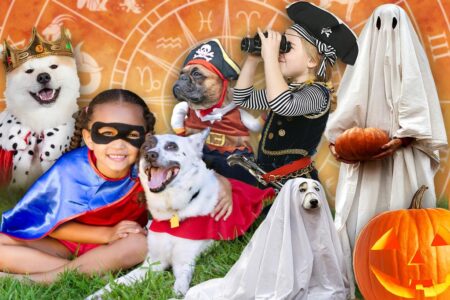 Forget couple’s costumes — dress up with your dog this Halloween