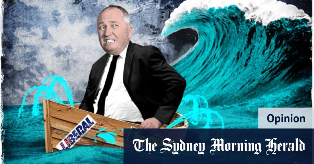 Marauding teals send Barnaby Joyce puce