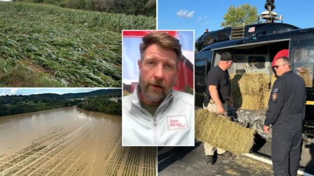 Hurricane Helene: ‘Backbone of America’ helping farmers across Southeast who lost billions in crops, land